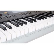 TECLADO PERSONAL WK-240 CASIO