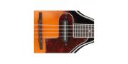 MANDOLINA ELECTROACUSTICA C-CASE M510E BS IBANEZ - Imagen 4