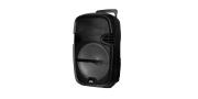 CAJA ACTIVA 15 MIC. STREET 15 PROBASS