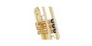 TROMPETA BB GOLD LACQUER STANDAR YTR-3335 YAMAHA