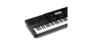 TECLADO PERSONAL C-FUENTE WK-6600 CASIO