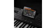 TECLADO ARRANGER PA4X-76 KORG