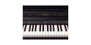 PIANO DIGITAL 230V EU RP701-CB ROLAND