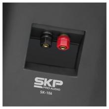 PARLANTE AMBIENTAL PAR SK 106 SKP