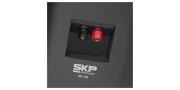 PARLANTE AMBIENTAL PAR SK 106 SKP