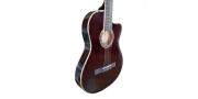 GUITARRA ELECTROACUSTICA FISHMAN NYLON FLAT WR PALMER