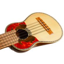 CHARANGO PROFESIONAL C-FUNDA QUIZPE