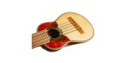 CHARANGO PROFESIONAL C-FUNDA QUIZPE