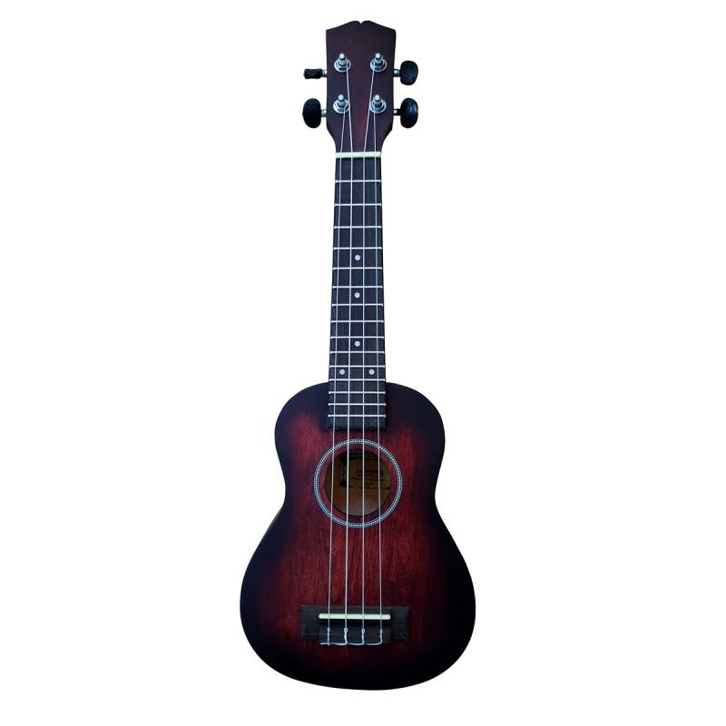 UKELELE ESTUDIO C-FUNDA ACCACIA - Imagen 1