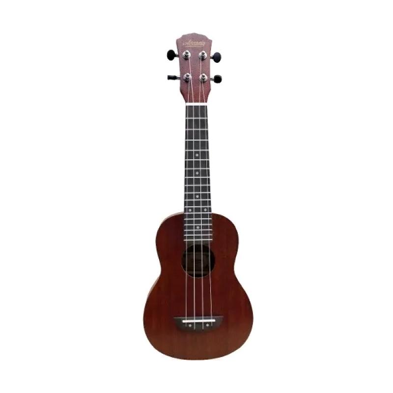 UKELELE SOPRANO C-FUNDA CAOBA ESTANDAR - Imagen 1