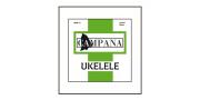 CUERDAS UKELELE CAMPANA - Imagen 1