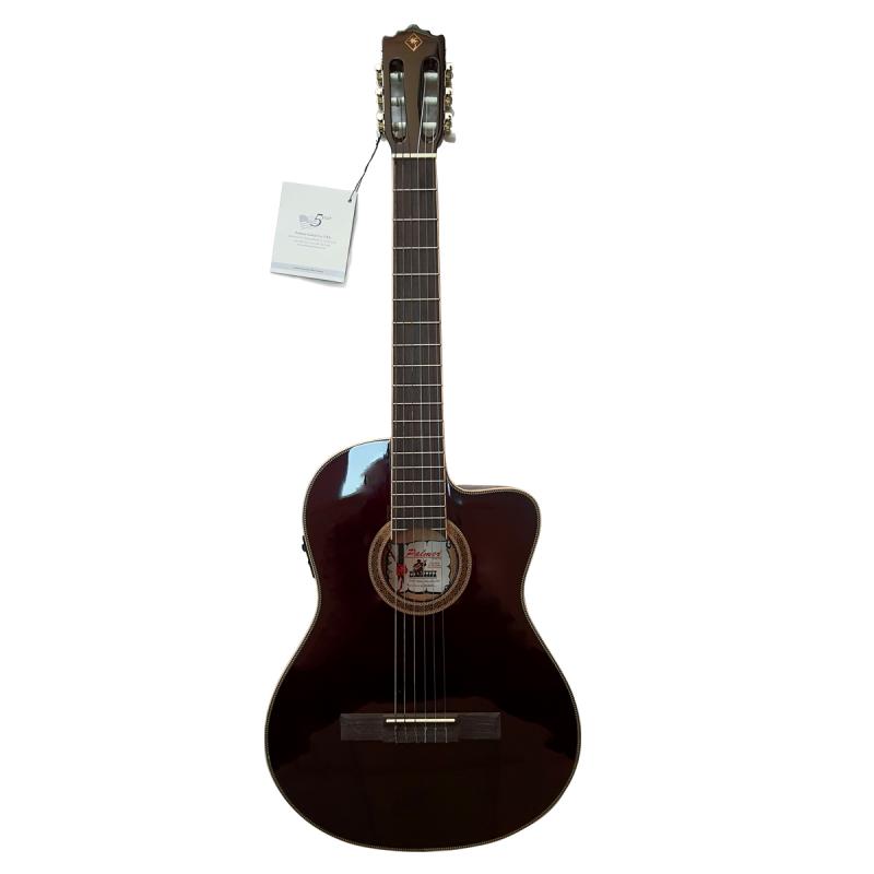 GUITARRA ELECTROACUSTICA FISHMAN NYLON FLAT WR PALMER - Imagen 1