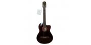 GUITARRA ELECTROACUSTICA FISHMAN NYLON FLAT WR PALMER - Imagen 1