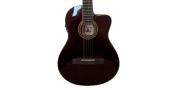 GUITARRA ELECTROACUSTICA FISHMAN NYLON FLAT WR PALMER - Imagen 2