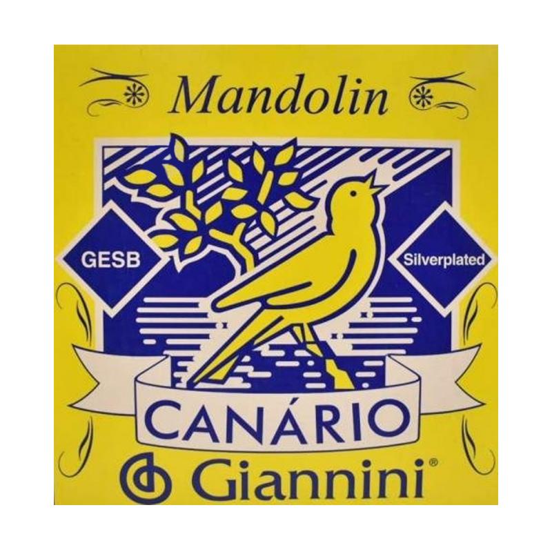 CUERDAS MANDOLINA SET CANARIO GIANNINI - Imagen 1