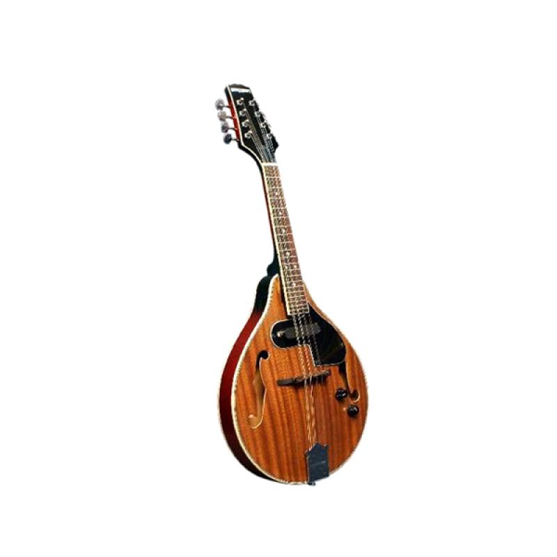 MANDOLINA ELECTROACUSTICA NATURAL BETHOVEN MEISTEHAFT - Imagen 1