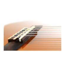 GUITARRA CLASICA NYLON C-40 YAMAHA - Imagen 3