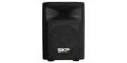 CAJA ACTIVA SK1P USB SKP - Imagen 1